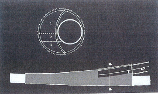 Pic 12