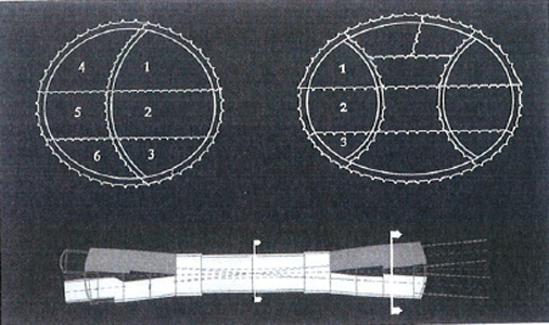 Pic 12